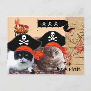 PIRATENKATZEN ANTIKE PIRATEN SCHATZKARTEN UND FLAG POSTKARTE