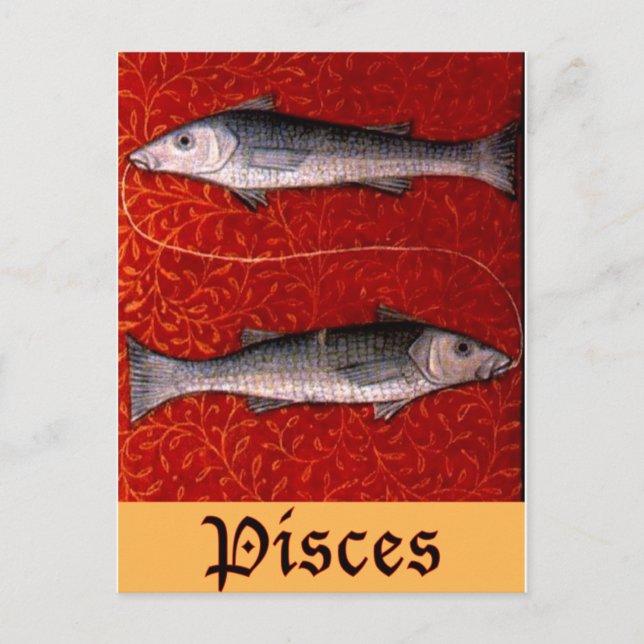 Pisces2 Postkarte (Vorderseite)