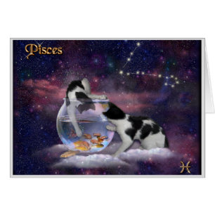 Pisces Chats ♓ 🐱