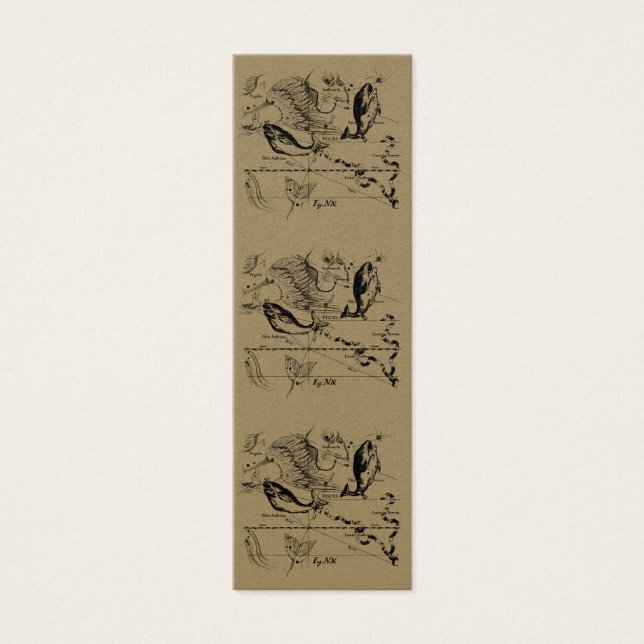 Pisces Constellation Hevelius 1690 févr19 - 20 mar (Devant)