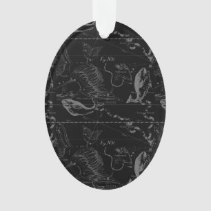 Pisces Constellation Hevelius 1690 Karte Gravieren Ornament