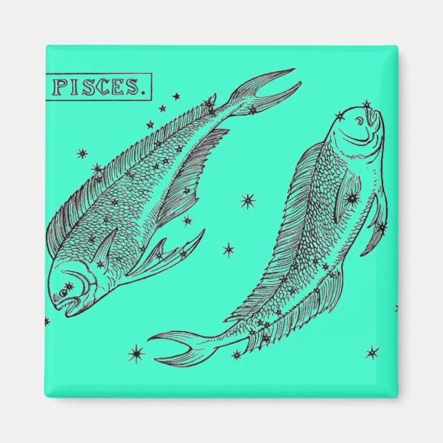 Pisces Magnet (Vorne)