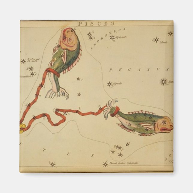 Pisces Magnet (Vorne)