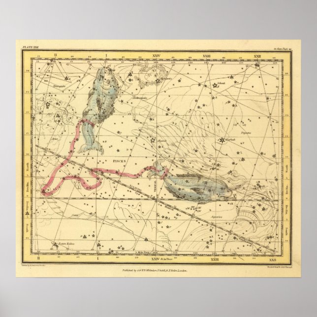 Pisces Poster (Vorne)