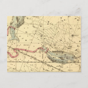 Pisces Postkarte