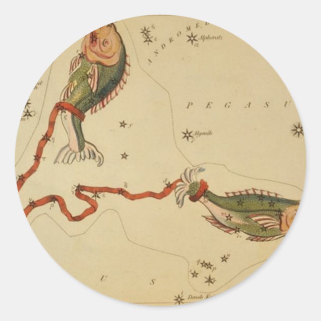 Pisces Sticker (Vorderseite)