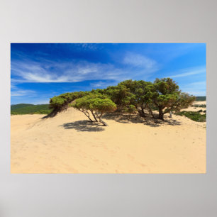 Piscinas Düne - Sardinien, Italien Poster