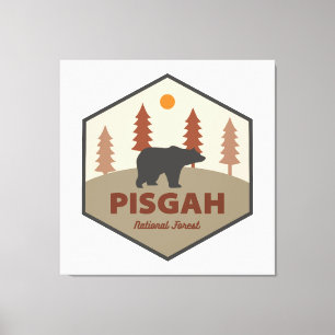 Pisgah National Forest Bear Leinwanddruck