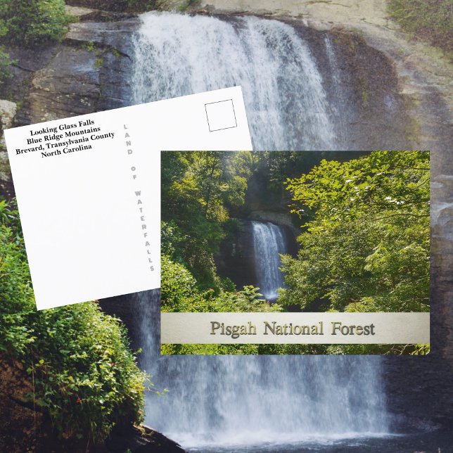 Pisgah National Forest Blue Ridge Mountains Postkarte (Von Creator hochgeladen)