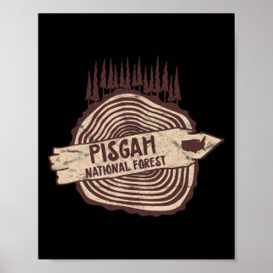 Pisgah National Forest North Carolina Asheville Poster