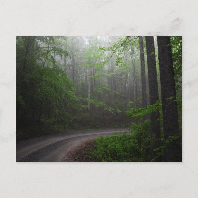Pisgah National Forest, North Carolina Postcard Postkarte (Vorderseite)