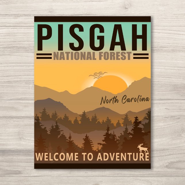Pisgah National Forest North Carolina Postkarte (Von Creator hochgeladen)