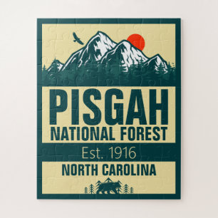 Pisgah National Forest North Carolina - Retro