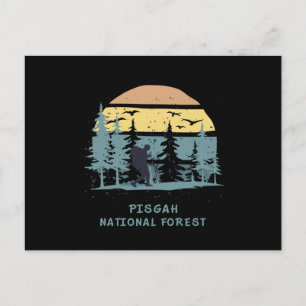 Pisgah National Forest Postkarte