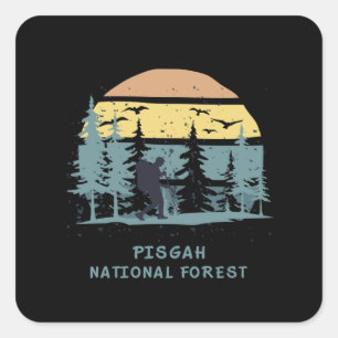 Pisgah National Forest Quadratischer Aufkleber