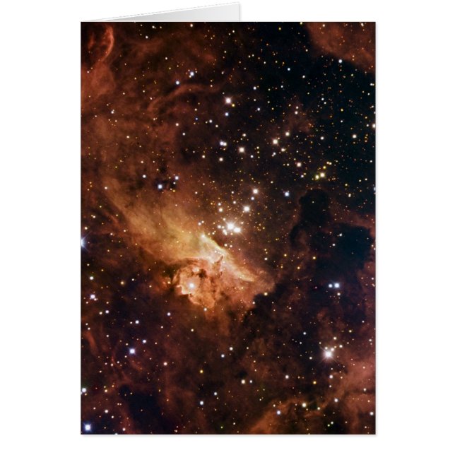 Pismis 24 braune Sterne NASA (Vorne)