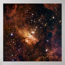 Pismis 24 braune Sterne NASA