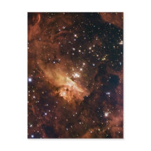 Pismis 24 braune Sterne NASA