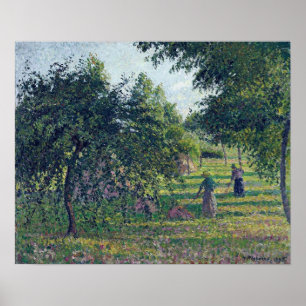 Pissarro - Apfelbäume in Eragny 1895 Poster