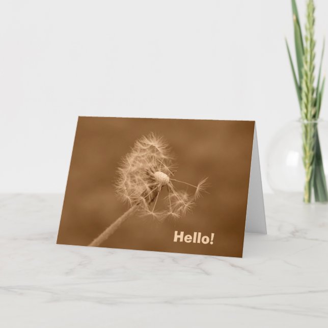 Pissenlit de sépia bonjour ! Carte (blanc à (Devant)