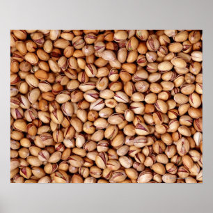 Pistachio Nuts Poster