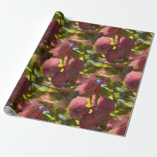 Pistazien... Geschenkpapier