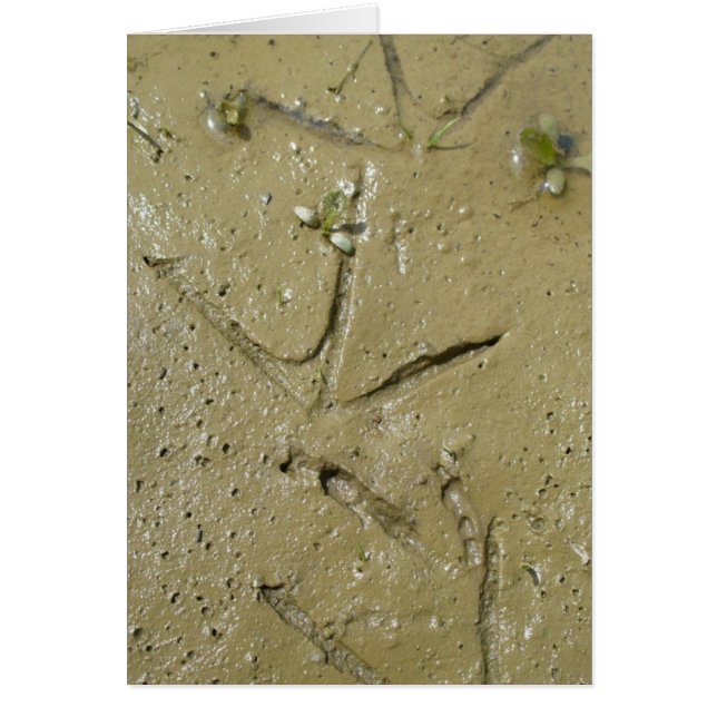 Pistes de tueurs (Devant)