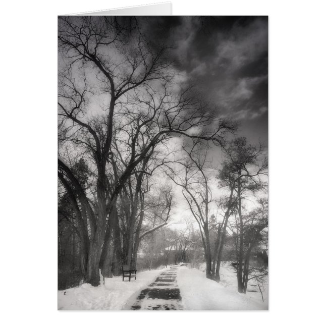 Pistes d'hiver (Devant)