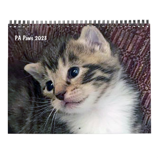 Pistes PA 12 mois Calendrier personnalisé (Dos)