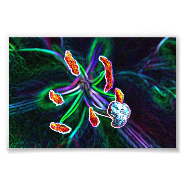  Pistilo de flor con efecto abstracto Fotodruck (Vorne)