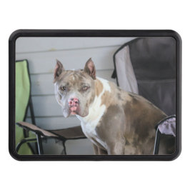 Pit Bull Abschlepphaken Cover