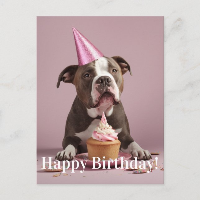 Pit Bull Birthday Celebration Postkarte (Vorderseite)
