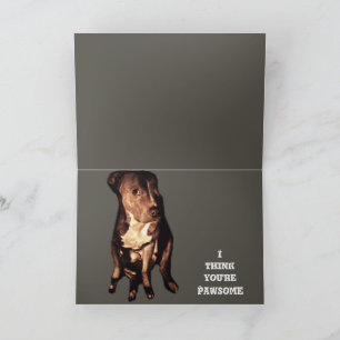 PIT BULL BIRTHDAY GREETING card Karte