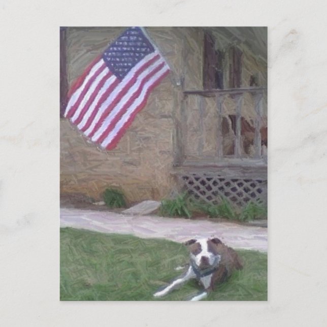 Pit Bull/BSL Postcard Postkarte (Vorderseite)