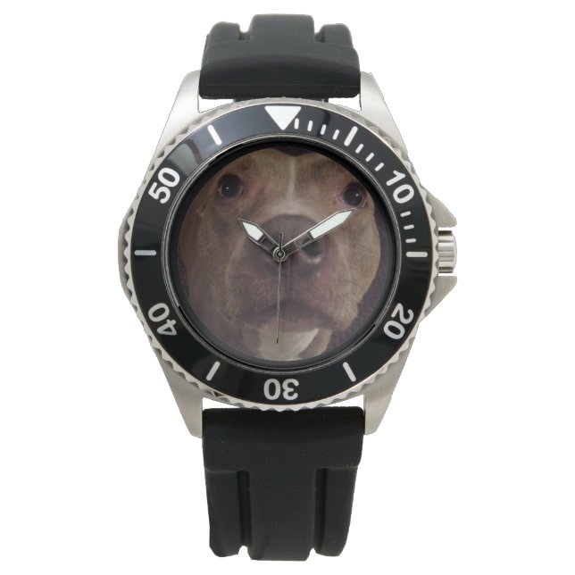 PIT BULL DOG watch Armbanduhr (Vorderseite)