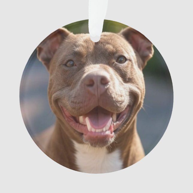 Pit Bull-Foto hinzufügen Anpassen Ornament (Vorderseite)