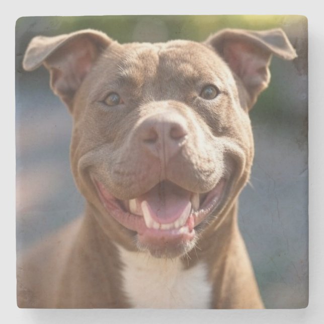 Pit Bull-Foto hinzufügen Anpassen Steinuntersetzer (Vorderseite)