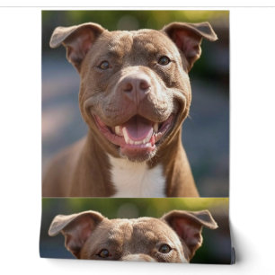Pit Bull-Foto hinzufügen Anpassen Tapete