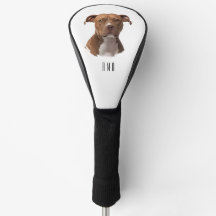 Pit Bull