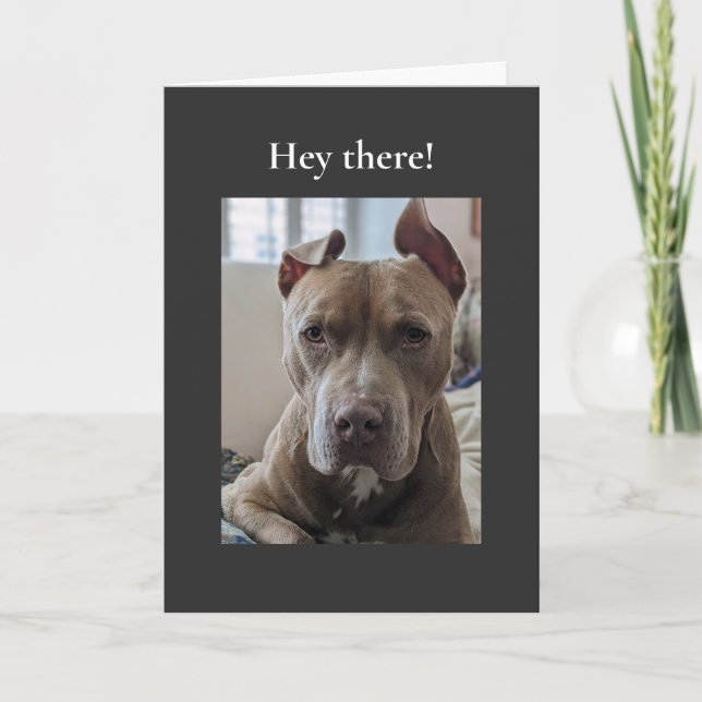 Pit Bull Hallo da Karte (Vorderseite)