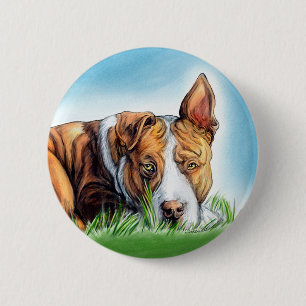 Pit Bull hört dich Button
