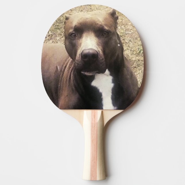 Pit Bull Hund Custom Pet Foto Tischtennis Schläger (Vorderseite)