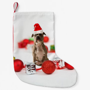 Pit Bull Hund mit Geschenkboxen und Weihnachtsschm Kleiner Weihnachtsstrumpf