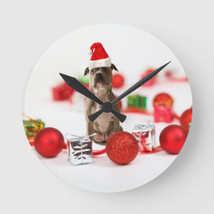 Pit Bull Hund mit Geschenkboxen und Weihnachtsschm Runde Wanduhr