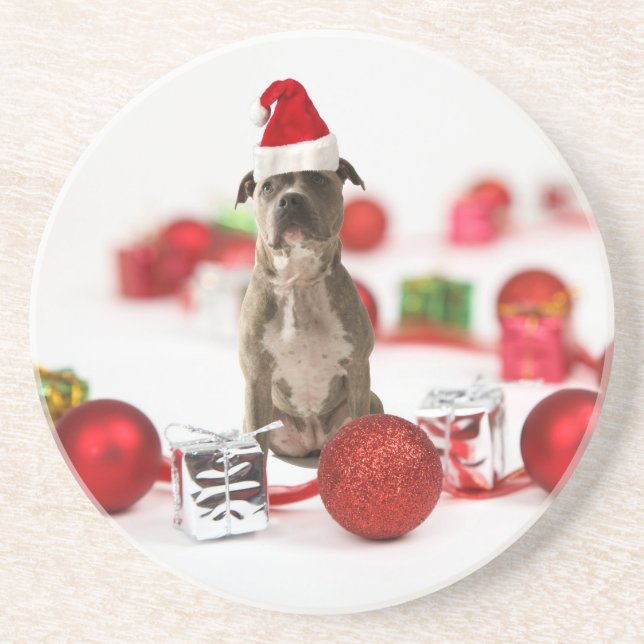 Pit Bull Hund mit Geschenkboxen und Weihnachtsschm Sandstein Untersetzer (Vorne)