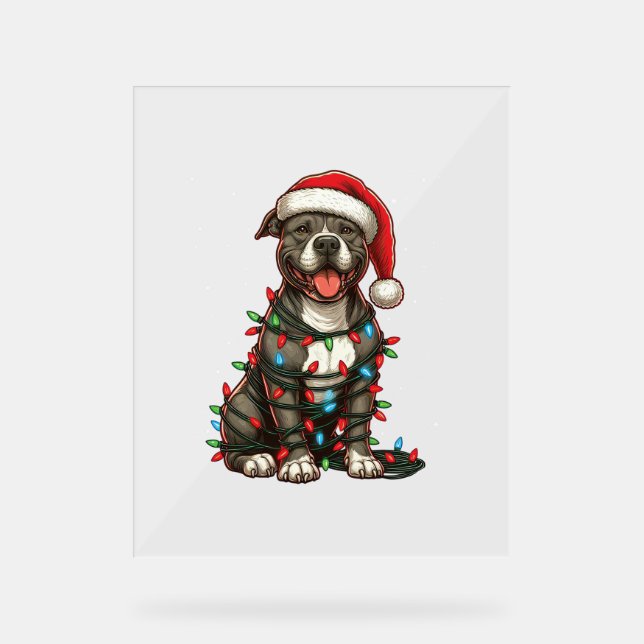 Pit bull Hund Weihnachtslicht Weihnachtsmannmütze  Acrylschild (Vorderseite)
