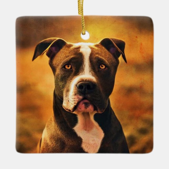 Pit Bull Keramikornament (Vorderseite)