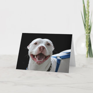 Pit bull lächelnde Karte