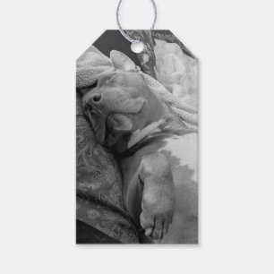 Pit Bull Liebesfotografie Geschenkanhänger