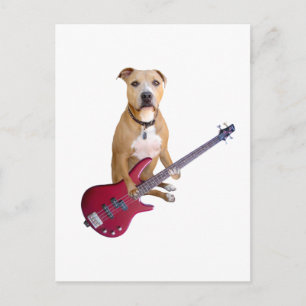 Pit Bull mit Gitarre Postkarte